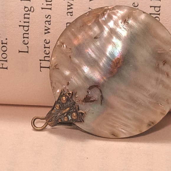 COPY - Abalone shell pendant with metal bug - Picture 5 of 5